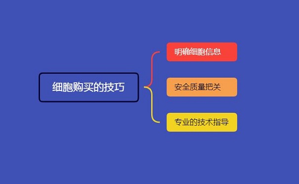 细胞购买的技巧有哪些？