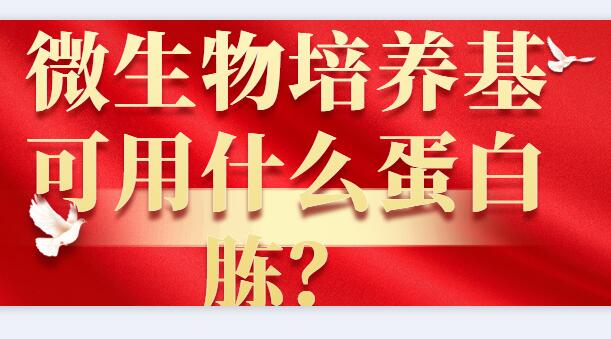 微生物培养基可用什么蛋白胨？