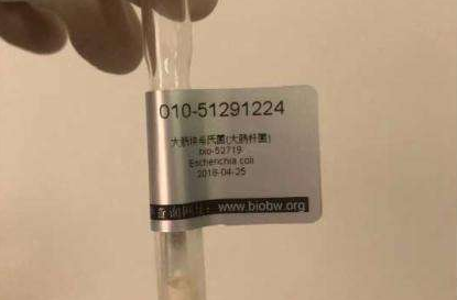 ATCC菌种的传代方法以及保存时常见的问题介绍