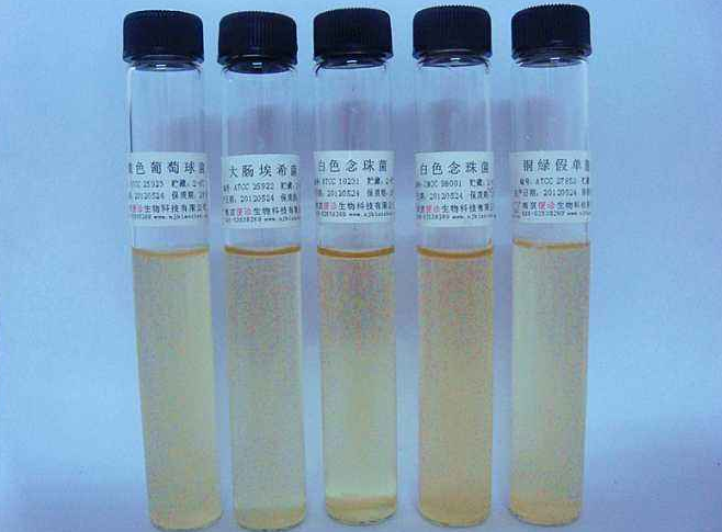 ATCC菌种保藏材料有哪些，菌种库的作用是什么？看完你就知道了！