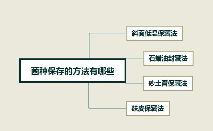 菌种的培养条件以及保存方法介绍