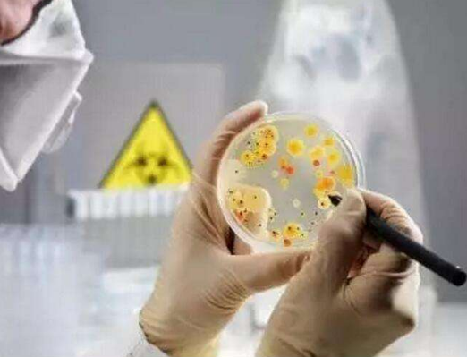 微生物培养基的分类以及成分介绍