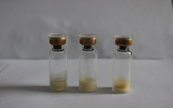 标准菌株应该怎么进行传代操作？不同类型的储存方法了解一下！