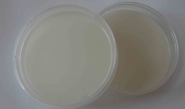 微生物培养基有哪些用途？这些因素影响它的使用时间！