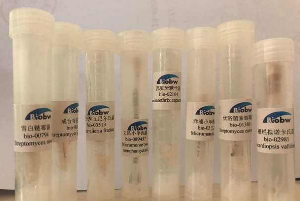 微生物菌种为什么使用无效？它在农业中起到了这些作用！