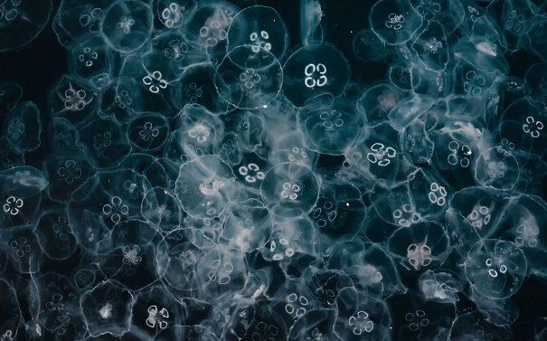 微生物菌种废水处理是根据什么原理？它们应该这样去保存！